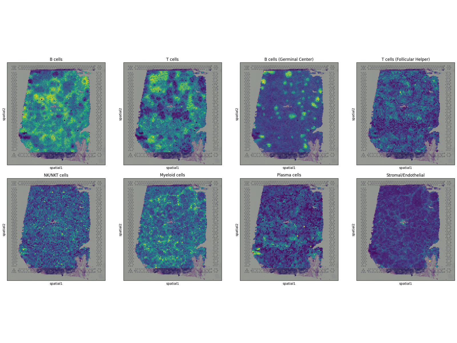 Tangram deconvolution map