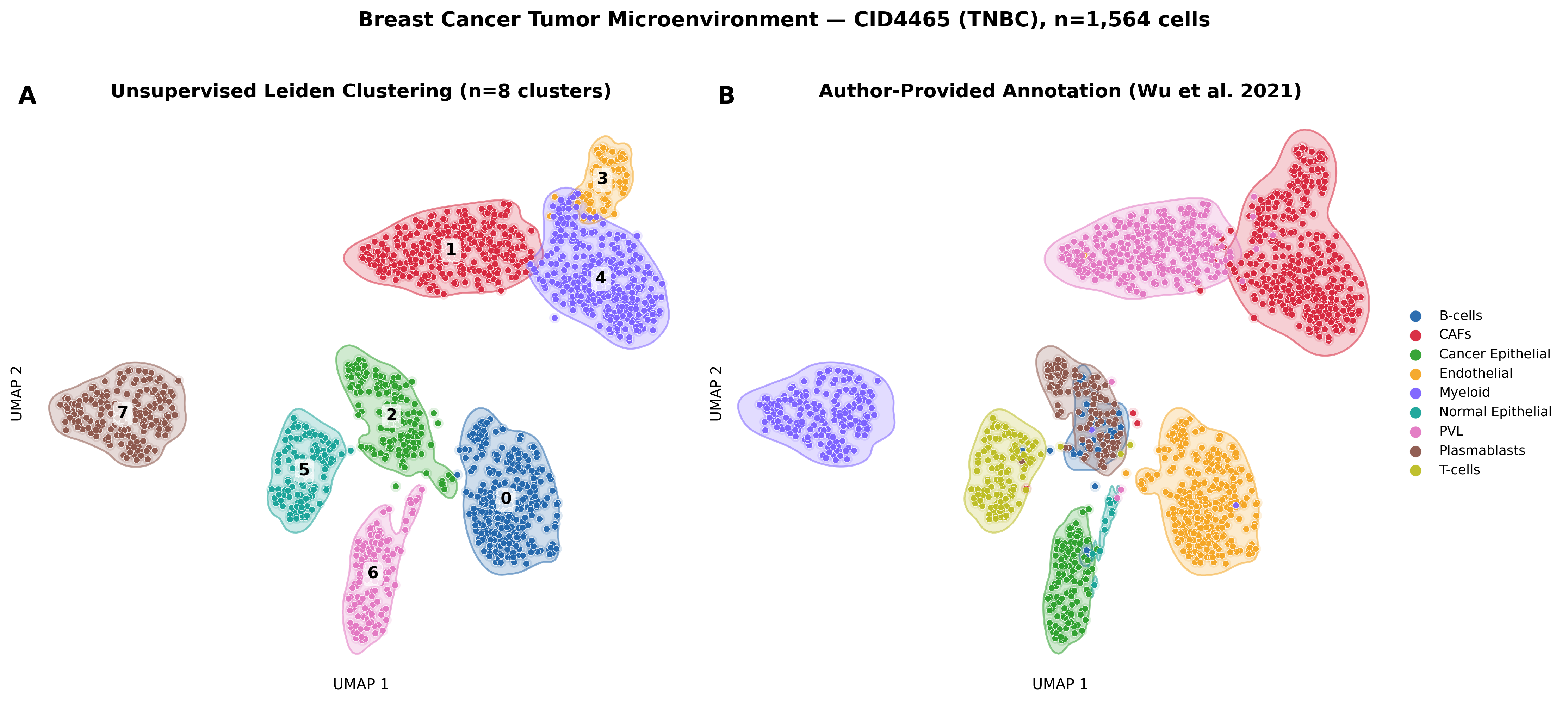Breast cancer TME UMAP validation