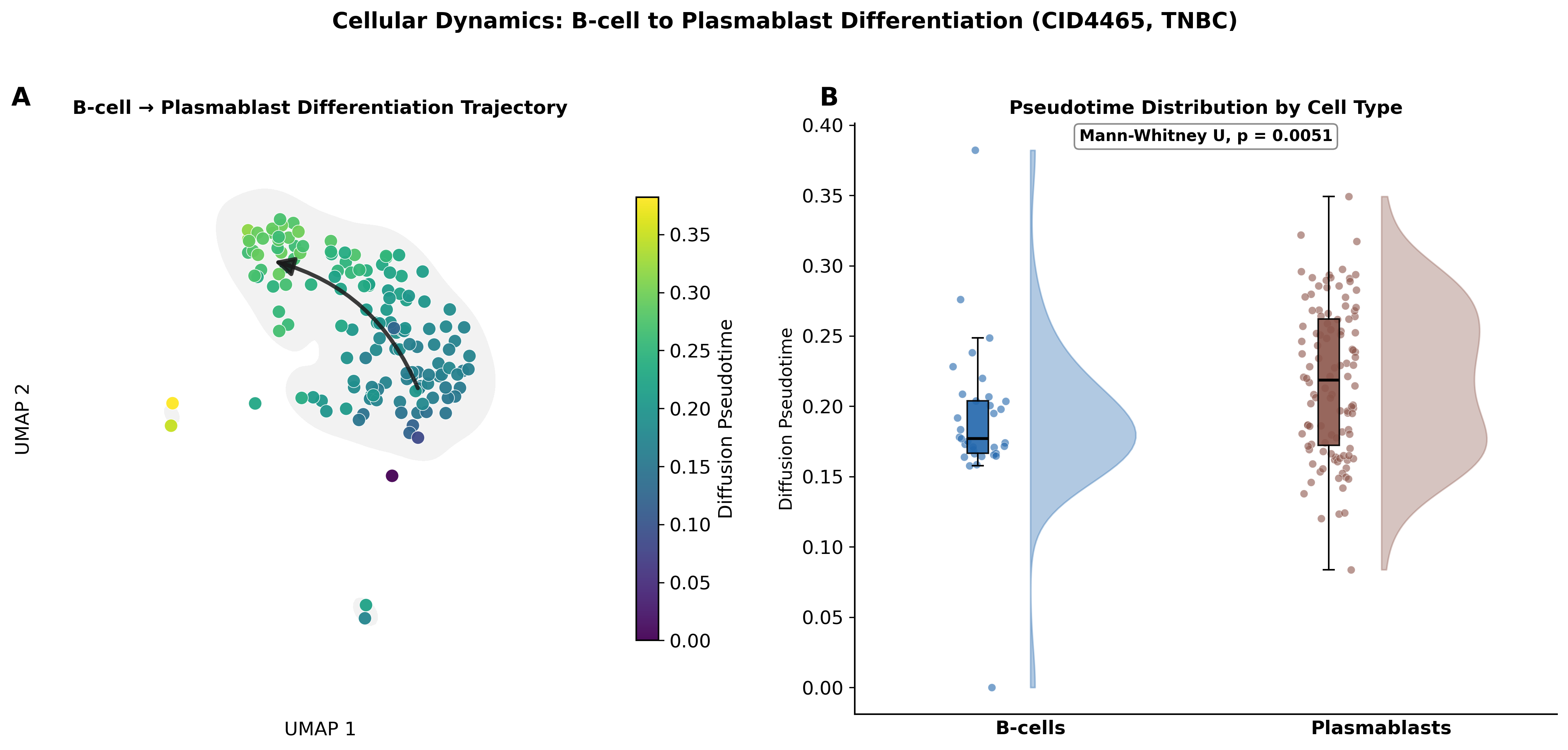 Breast cancer TME pseudotime analysis