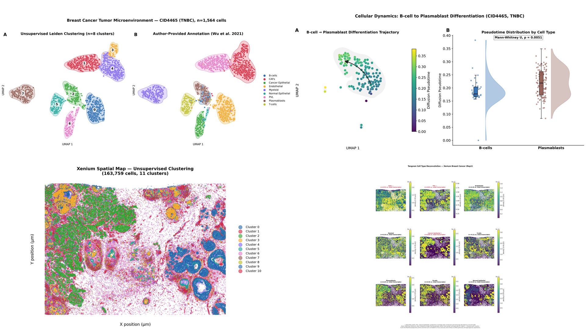 Breast cancer microenvironment spatial analysis output
