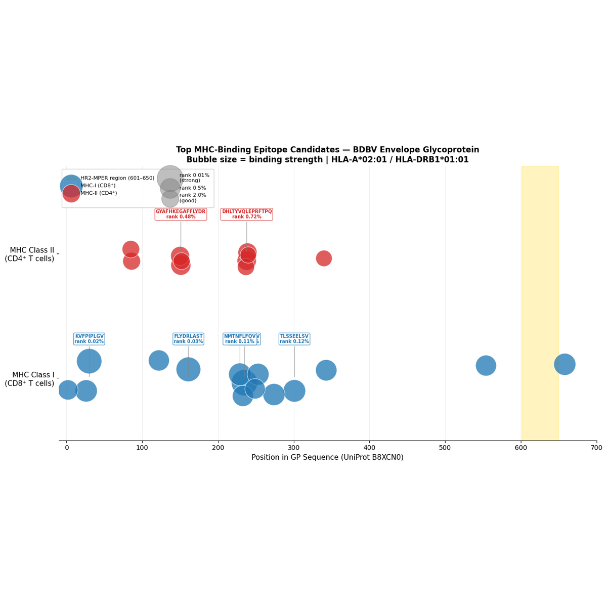 Bundibugyo virus GP epitope analysis supplied analytical figure 2