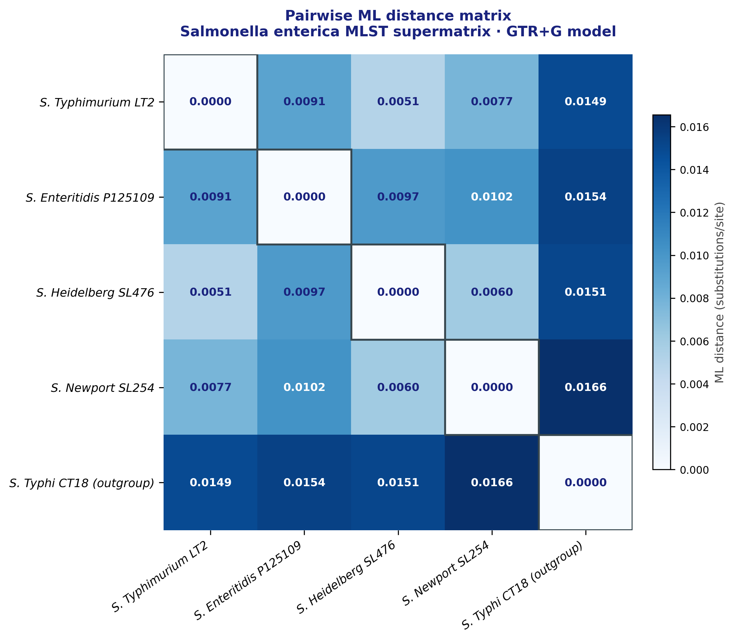 Salmonella MLST pairwise distance matrix