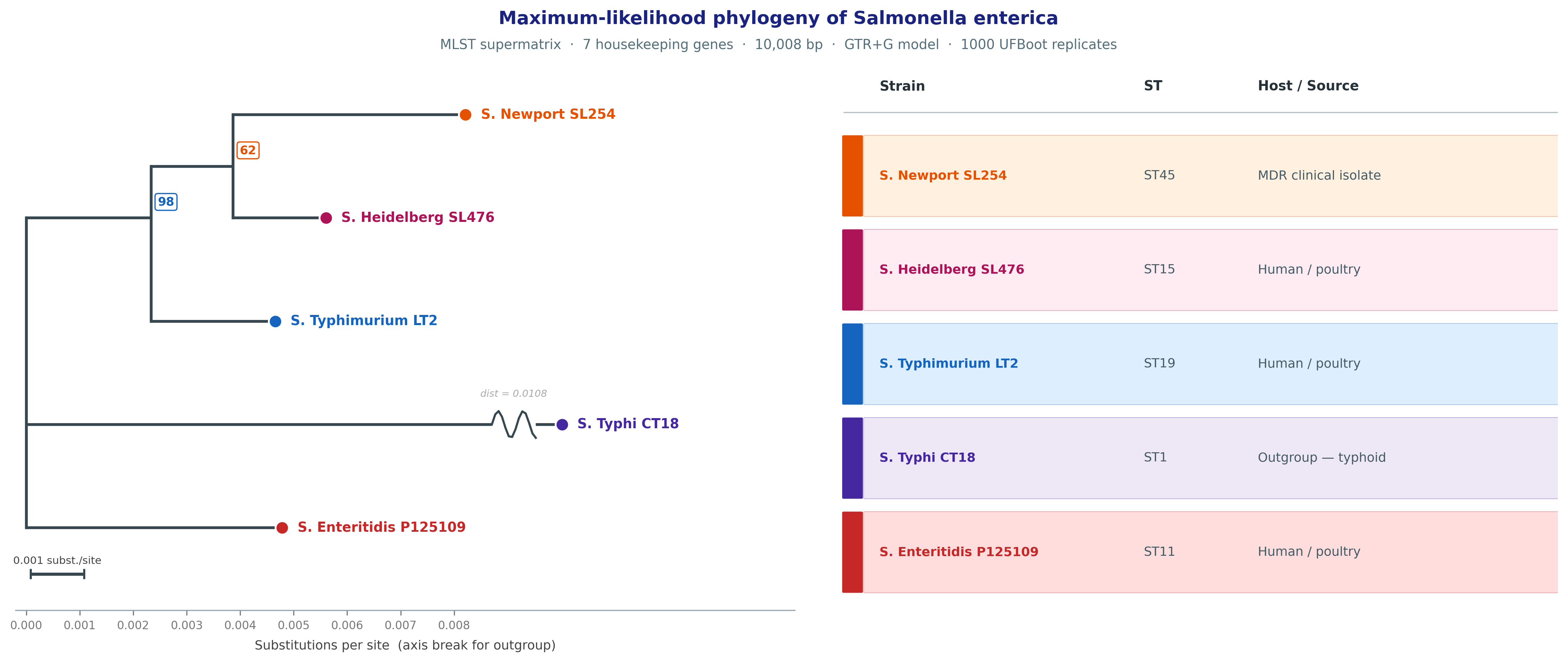 Salmonella MLST final phylogenetic view