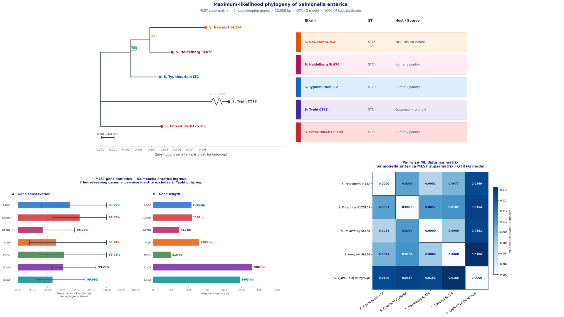 Salmonella MLST phylogenetic analysis output