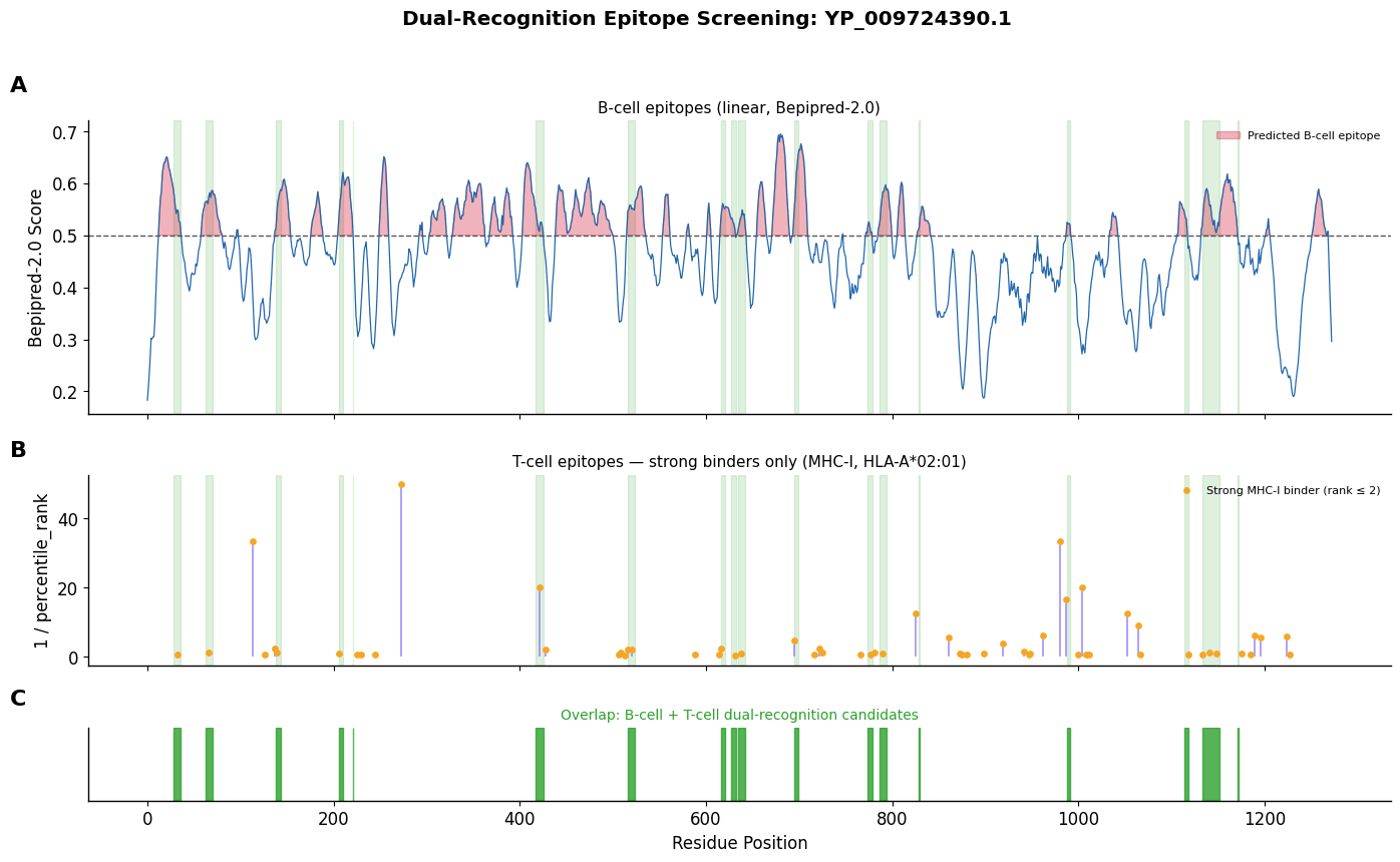 SARS-CoV-2 epitope screening supplied analytical figure 4