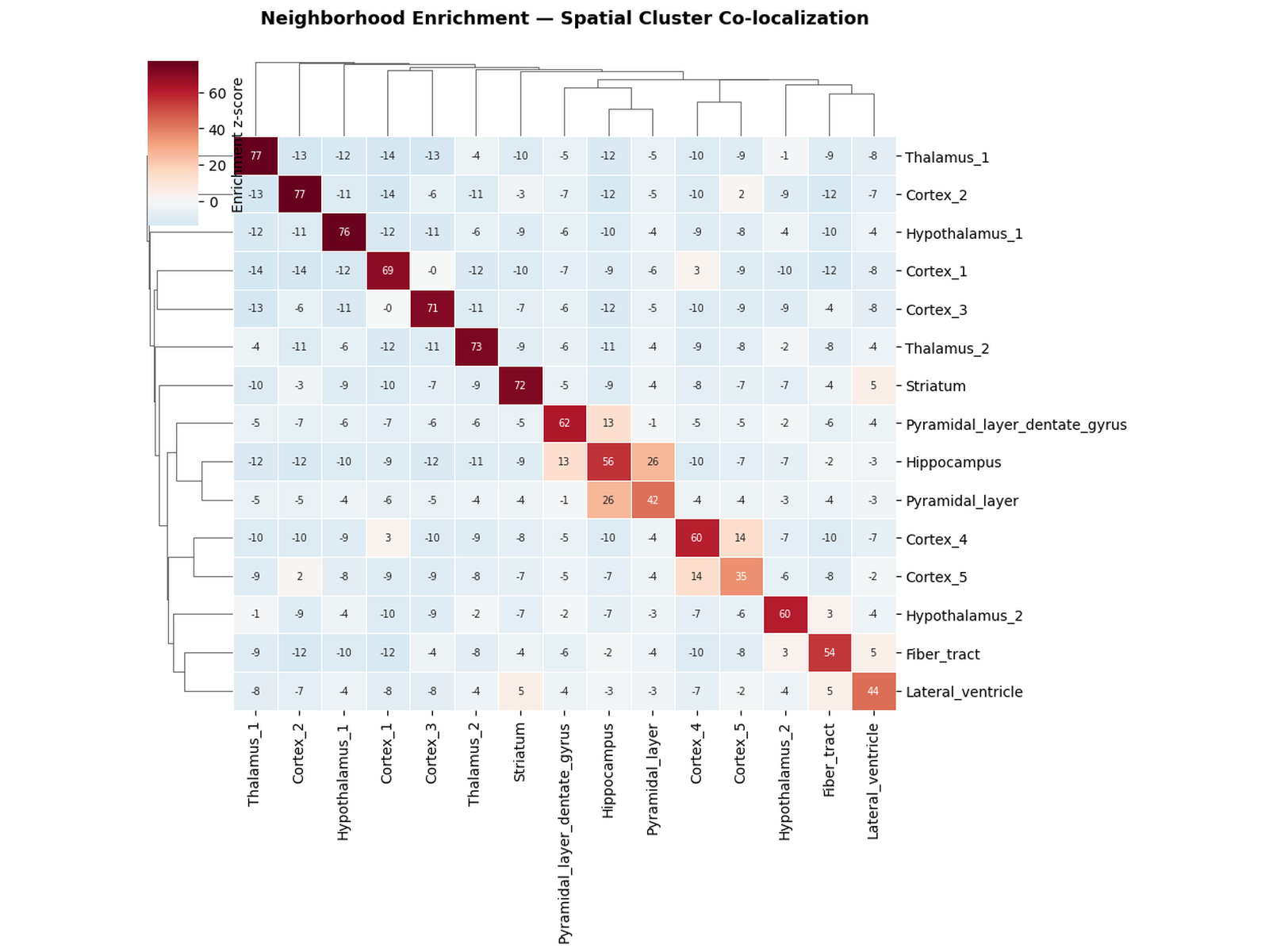 Spatial neighbourhood enrichment map