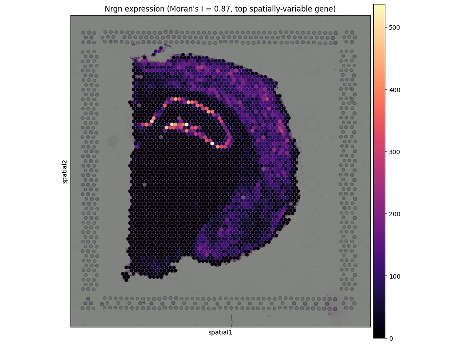 Spatial Moran's I gene ranking