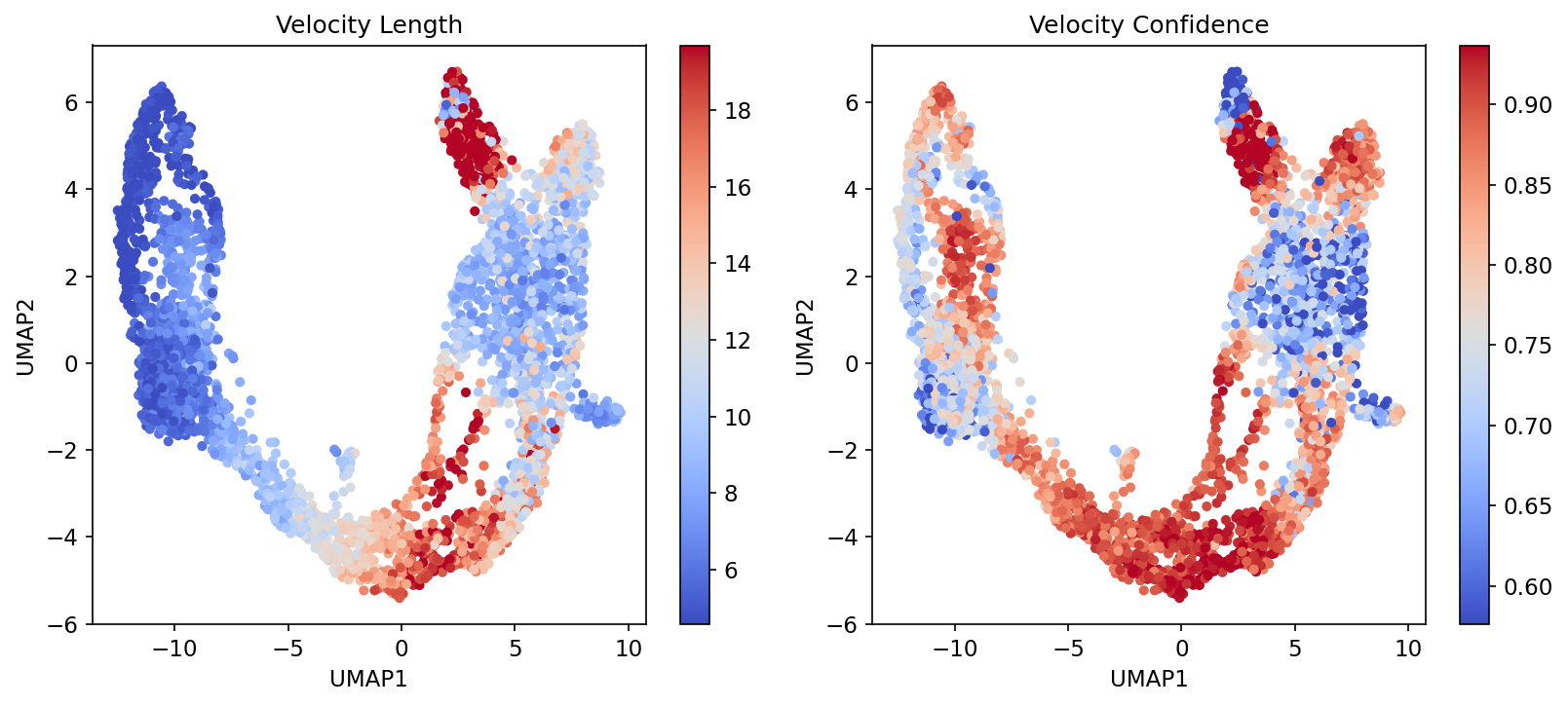 RNA velocity confidence estimate
