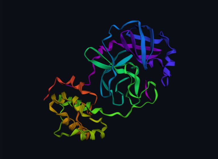 Three-dimensional protein ribbon structure visualisation