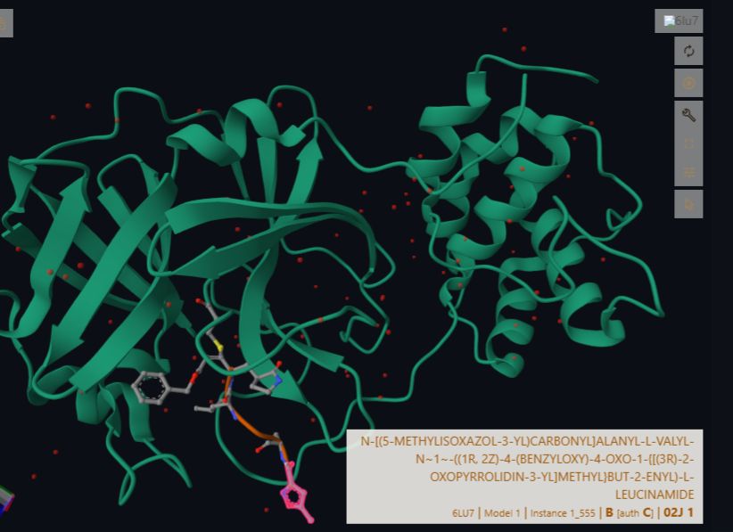 Protein structure interaction view
