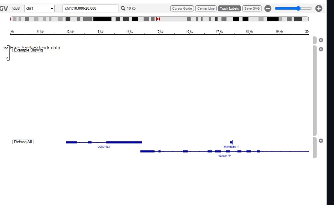 Interactive genomic track browser